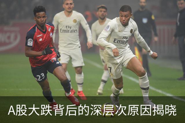 A股大跌背后的深层次原因揭晓